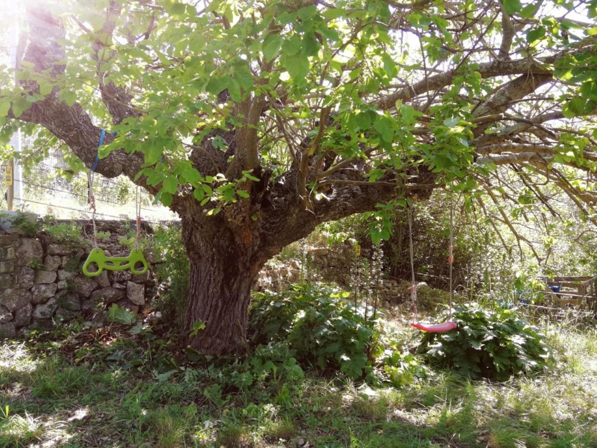 Bastide Provencale Les Muriers D'Engaspaty Seillans Exterior foto